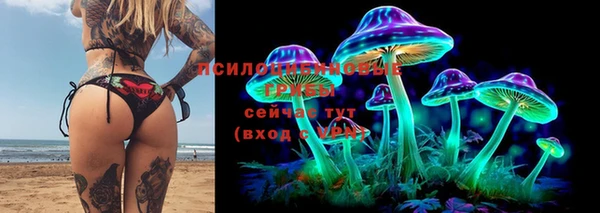 гидра Осинники