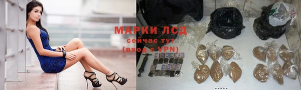 гидра Осинники