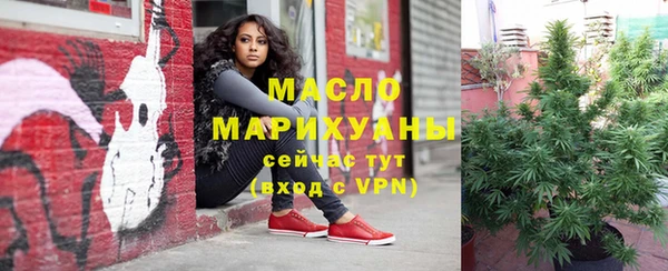 гидра Осинники