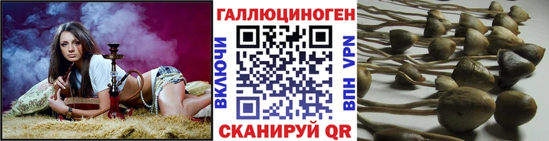 Галлюциногенные грибы MAGIC MUSHROOMS  Абаза 